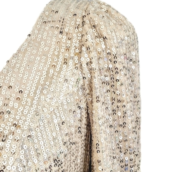 Illena for Mac Duggal silver sequin gown - Picture 9 of 12